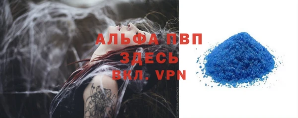 прущие грибы Абаза