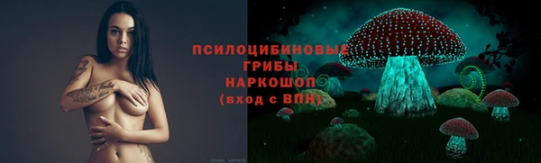 прущие грибы Абаза