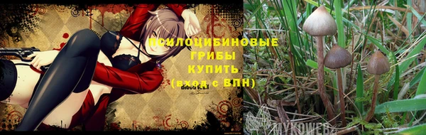 дурь Абдулино