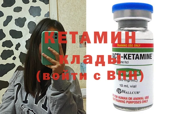 прущие грибы Абаза