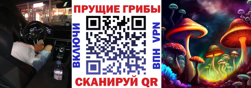 Галлюциногенные грибы GOLDEN TEACHER  Ермолино 