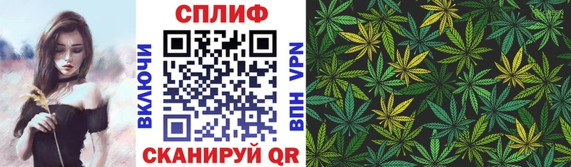 Бошки марихуана план  OMG   Ермолино 